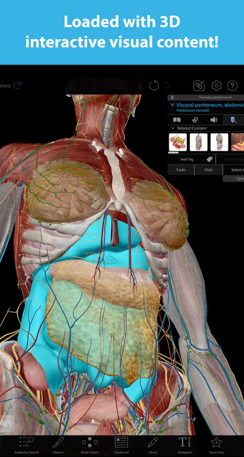 Đa dạng các mô hình 3D trực quan