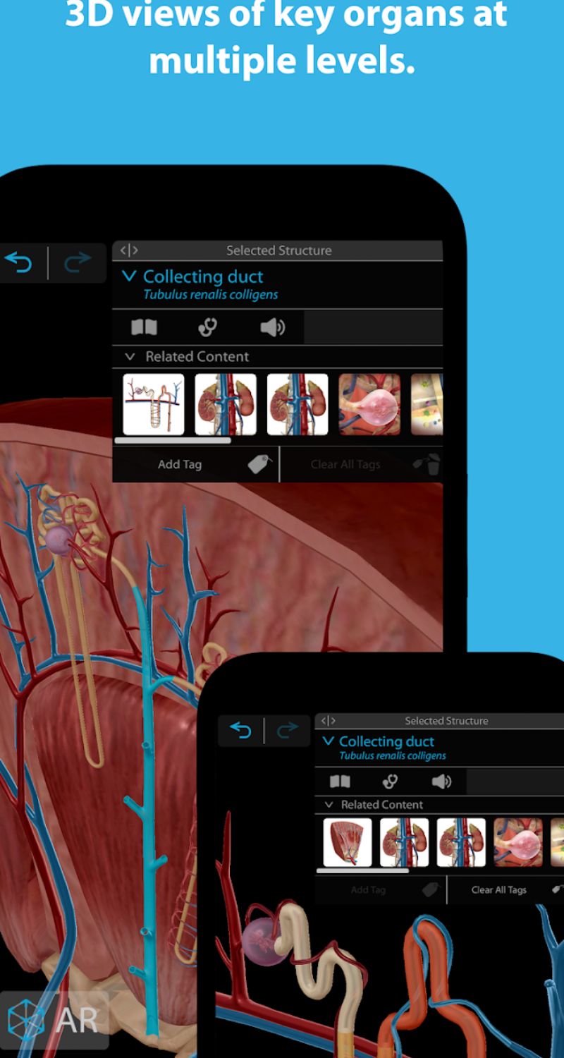 Human Anatomy 3d Crack MOD APK