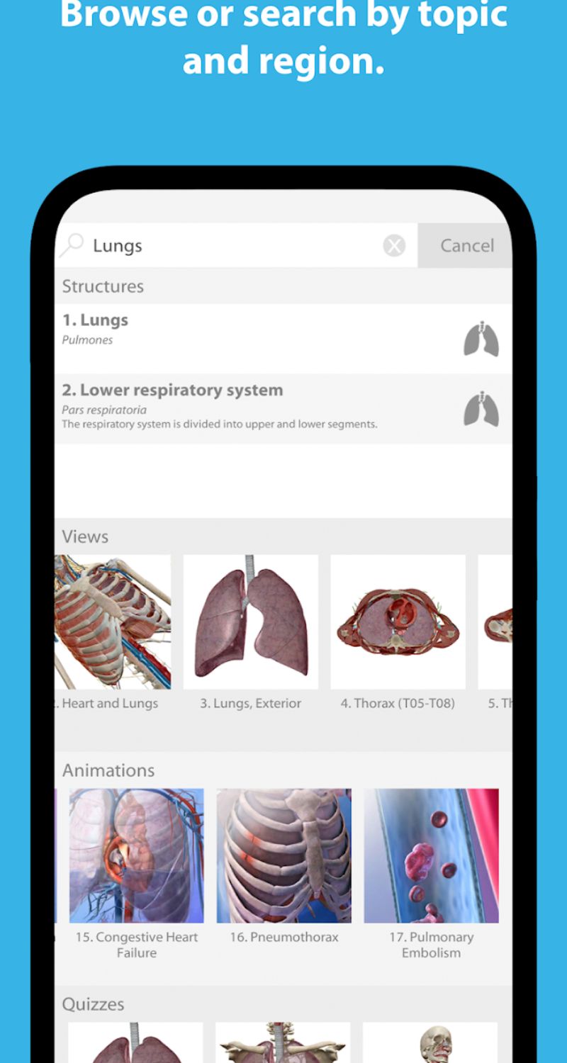 Tải về Anatomy 3D Crack – Khám phá chi tiết cơ thể con người