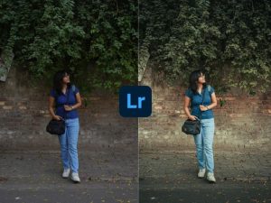 Tải Preset Lightroom Free & Filters (Mở khóa Pro) 3.9