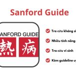 Sanford MOD APK Guide subscribed