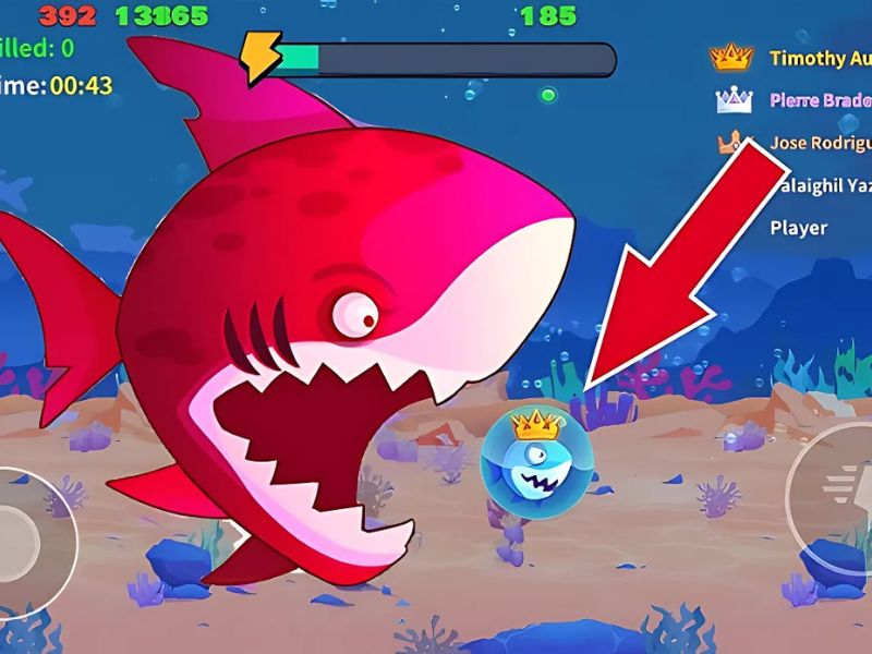 Tải Big Fish hack (Năng lượng cao) phiên bản 1.9.6