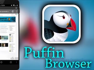 Hướng dẫn sử dụng Puffin Browser Pro (Mở khóa) 9.10.1.51573