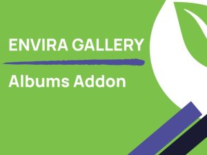 Tải Envira Gallery Albums Addon