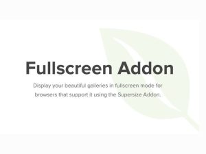 Tải Envira Gallery Fullscreen Addon