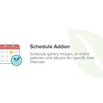 Tải Envira Gallery Schedule Addon