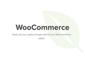 Tải Envira Gallery WooCommerce Addon