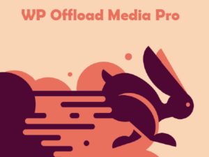 Tải WP Plugin Offload Media Pro